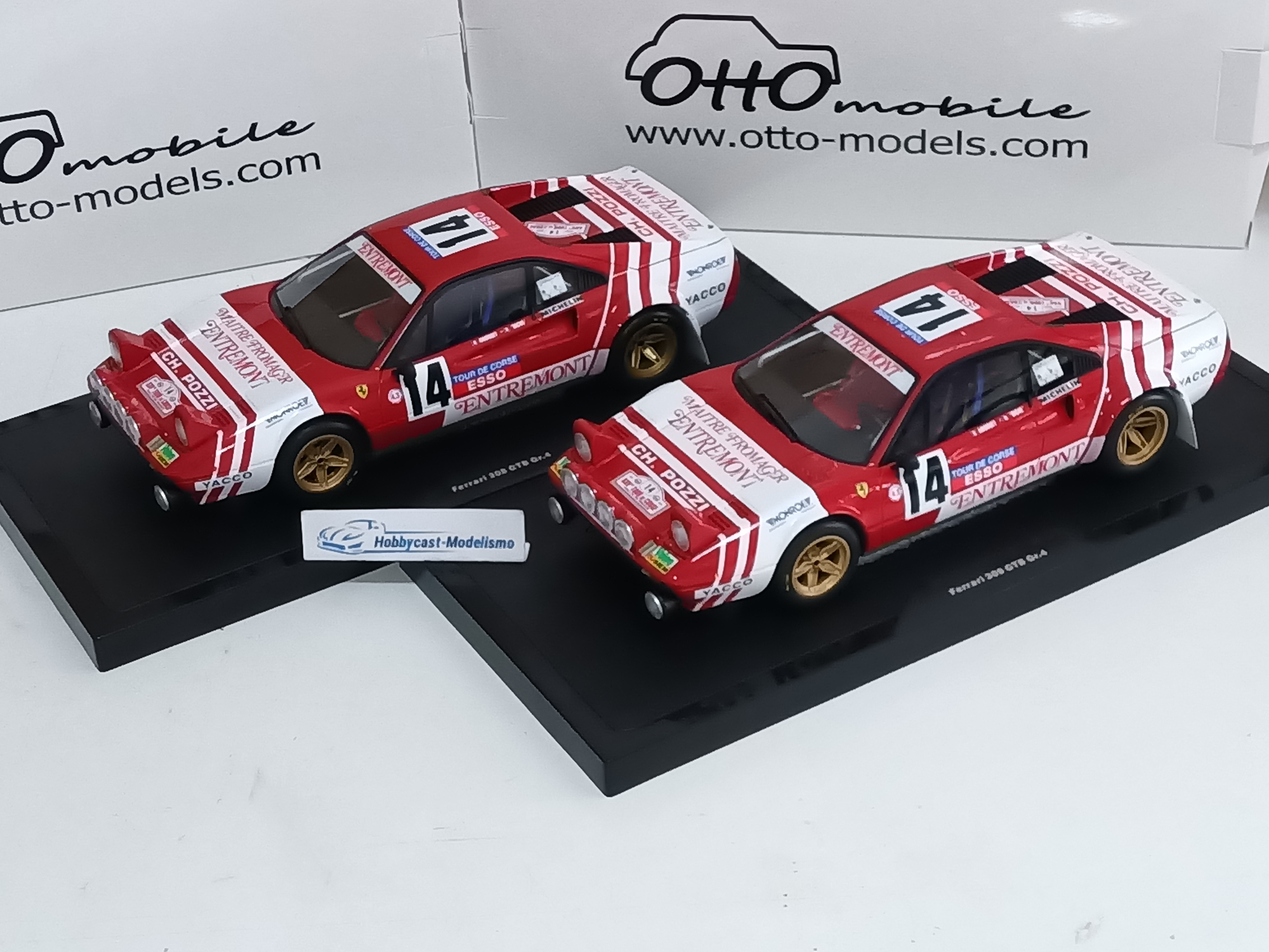 Ferrari 308 GTB Gr.4 Tour de Corse 1981 OT1217 OTTO MOBILE 1:18 Limited Edition 999 pcs - Imagen 12